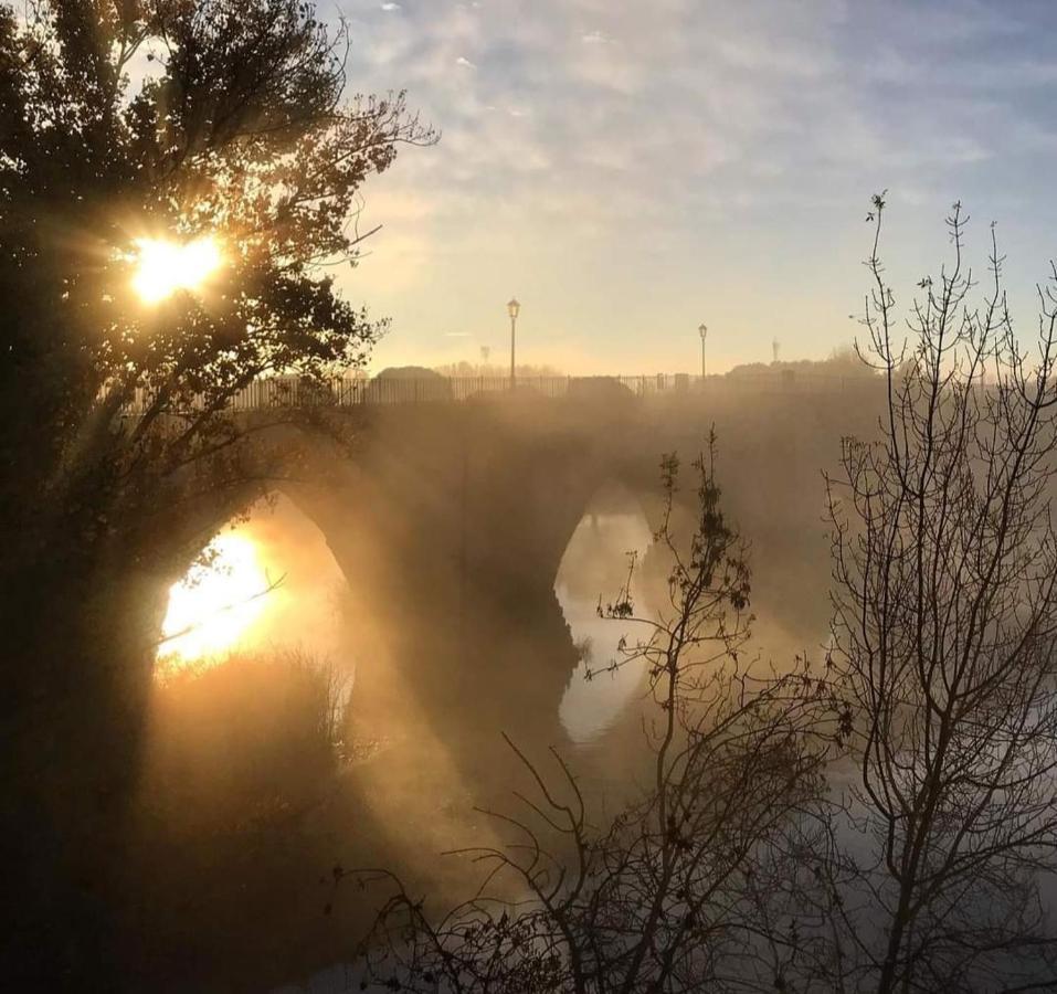 A Los Ojos Del Rio Duero Zamora Eksteriør bilde