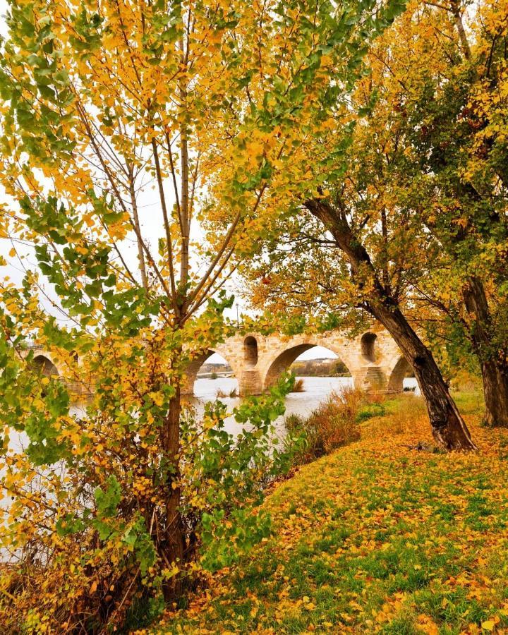 A Los Ojos Del Rio Duero Leilighet Zamora Eksteriør bilde