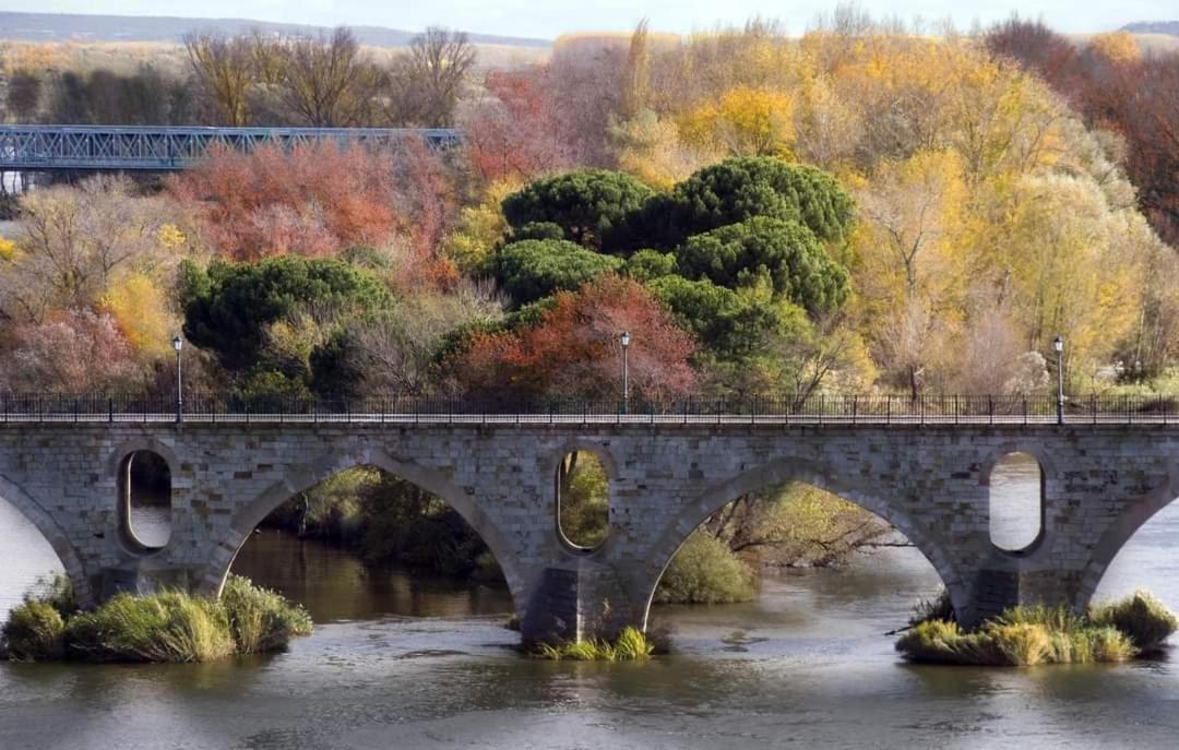 A Los Ojos Del Rio Duero Leilighet Zamora Eksteriør bilde