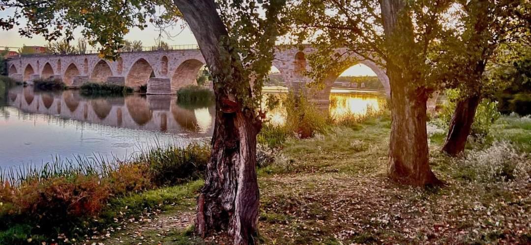 A Los Ojos Del Rio Duero Zamora Eksteriør bilde