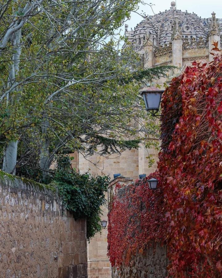 A Los Ojos Del Rio Duero Leilighet Zamora Eksteriør bilde