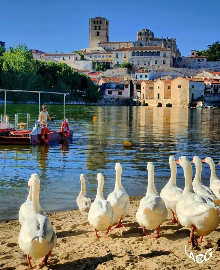 A Los Ojos Del Rio Duero Leilighet Zamora Eksteriør bilde