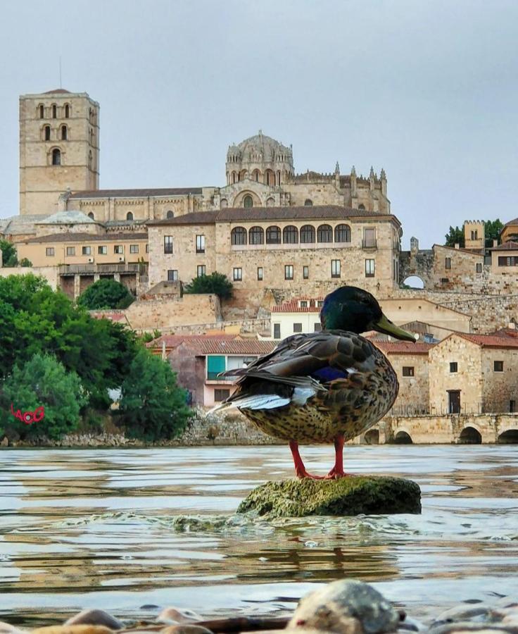 A Los Ojos Del Rio Duero Zamora Eksteriør bilde