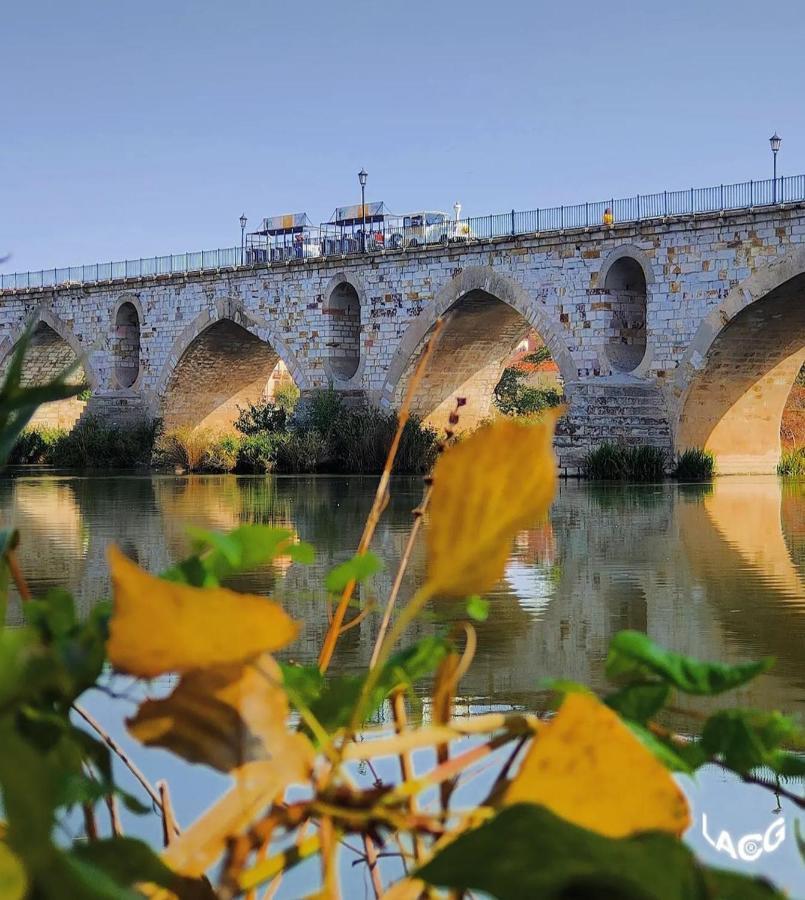 A Los Ojos Del Rio Duero Leilighet Zamora Eksteriør bilde