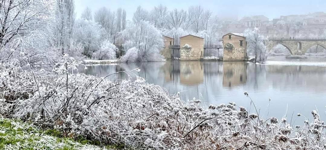 A Los Ojos Del Rio Duero Leilighet Zamora Eksteriør bilde