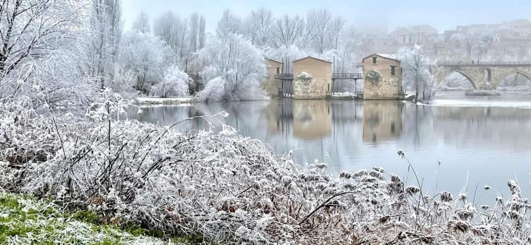 A Los Ojos Del Rio Duero Zamora Eksteriør bilde