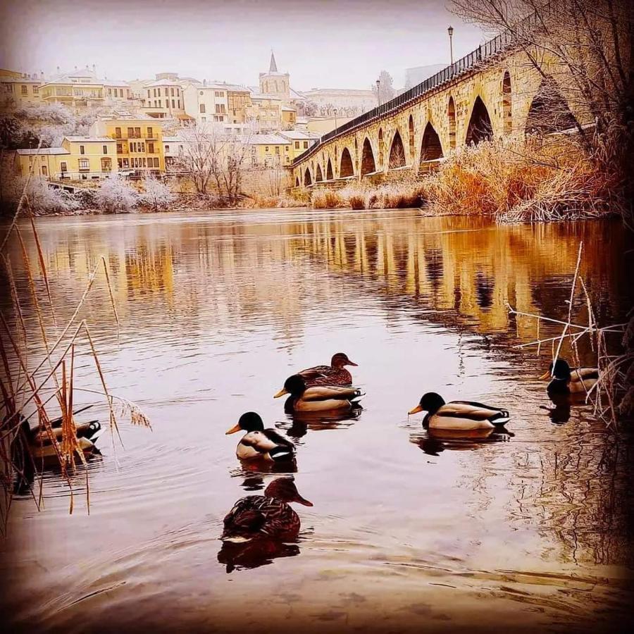 A Los Ojos Del Rio Duero Leilighet Zamora Eksteriør bilde